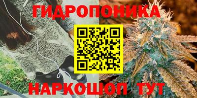 дмт Кимры