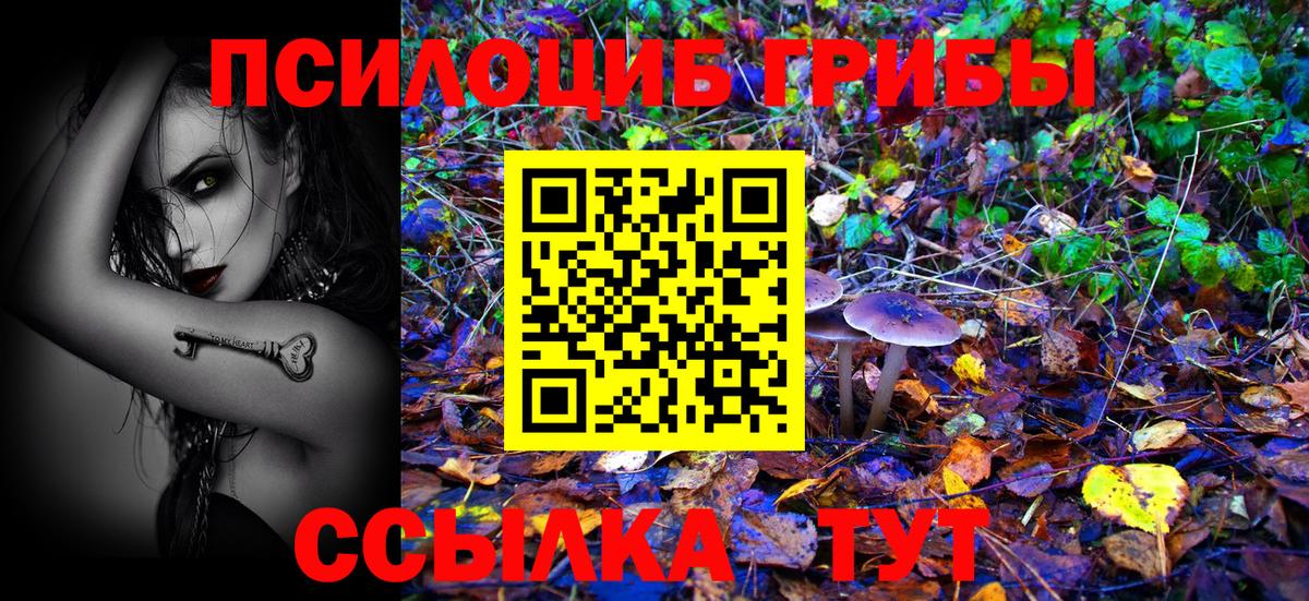 Галлюциногенные грибы Magic Shrooms Канаш